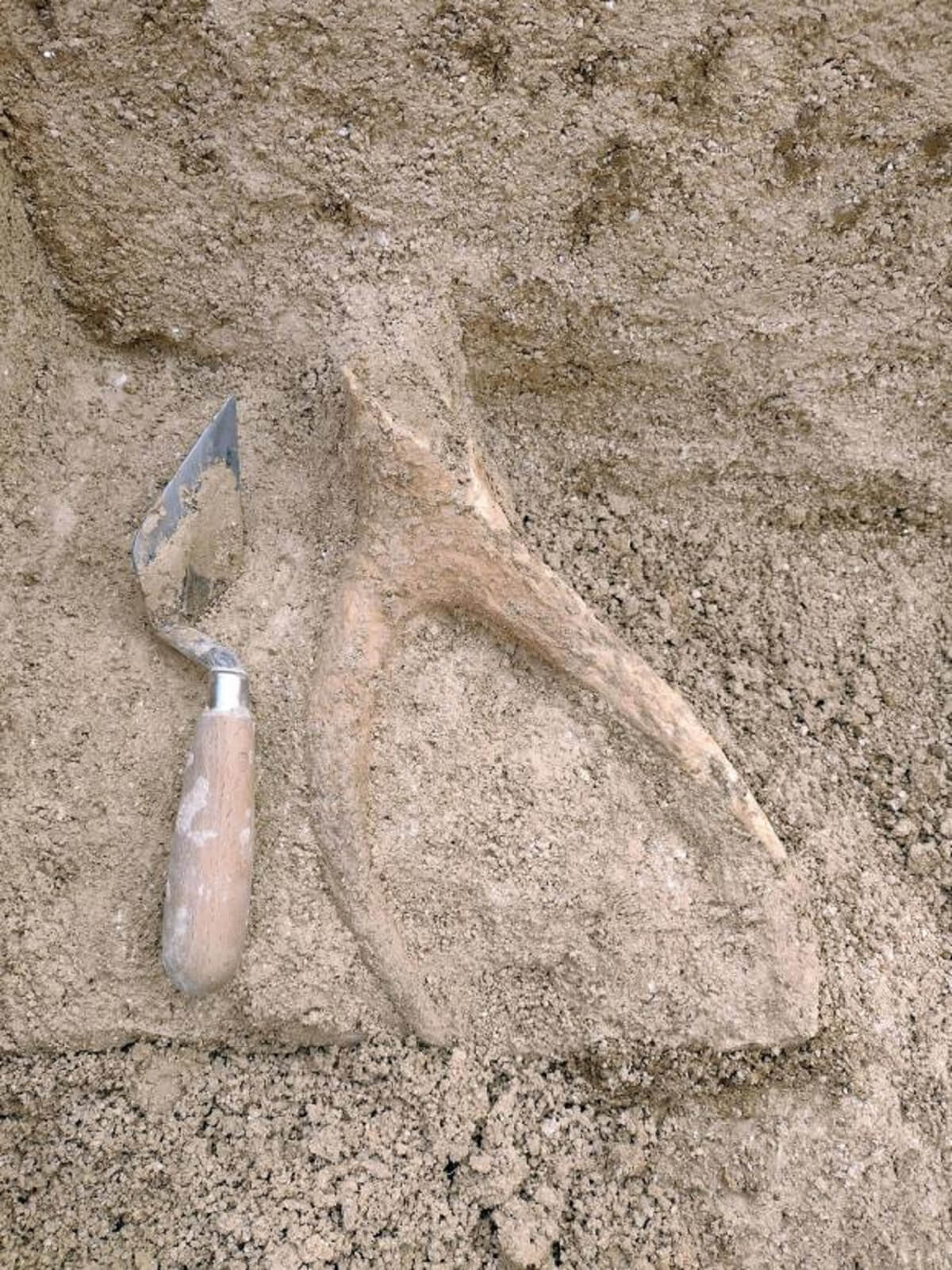 Increíbles hallazgos arqueológicos datados en 10,000 a.C. desenterrados a solo 8 millas de Stonehenge - Stonehenge